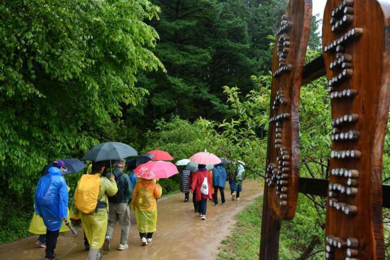 횡성호수길축제 - Korea Tourism Organization